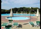 Rif. 031 San Vincenzo Bilocale con  Terrazzo abitabile e Piscina 