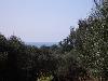PARCO DELL'UCCELLINA