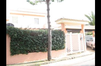 Bari alto