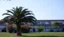 Appartamento bilocale in affitto a Marina di Bibbona