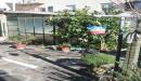 CECINA