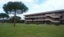 Appartamento Monolocale in affitto a Marina di Bibbona